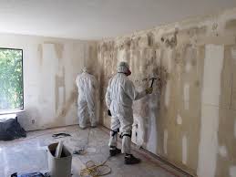 Best Mold Documentation for Insurance Claims  in Williamston, SC